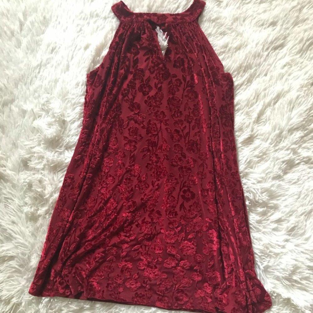 Red Velvet Floral Mini Dress